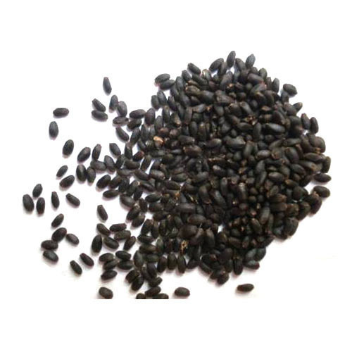 Tulsi Seeds