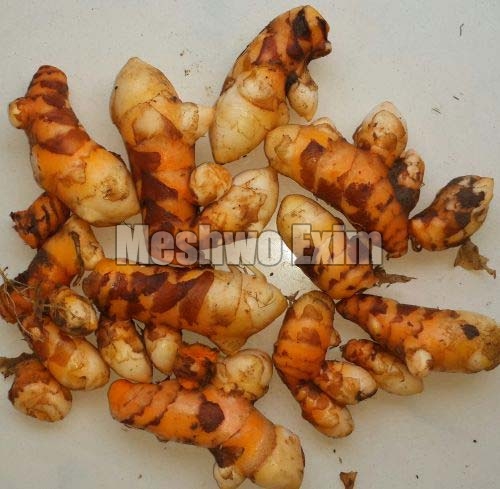Raw turmeric finger, Cultivation Type : Organic