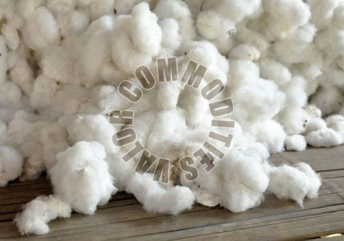 Raw Cotton