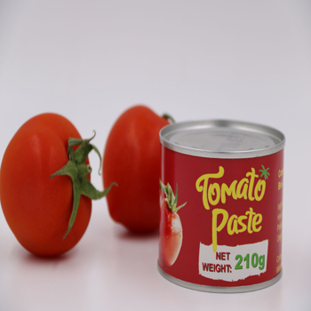 210g Tomato Paste Canned, Certification : HACCP, ISO, KOSHER