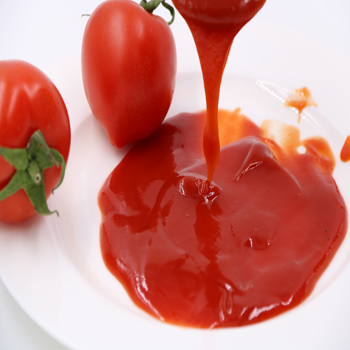 Tomato Paste Ketchup, Brand Name : Tomatohong