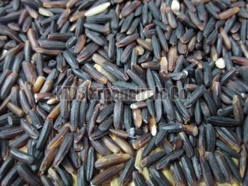 Organic Black Rice, For Cooking, Packaging Type : 5kg