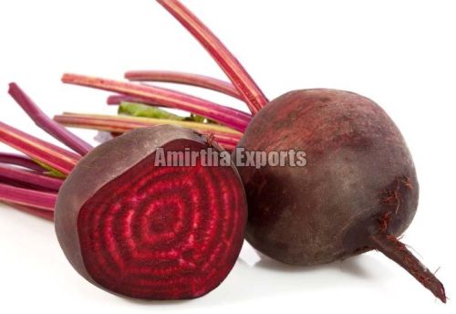 Organic Fresh Beetroot, Color : Dark-Red