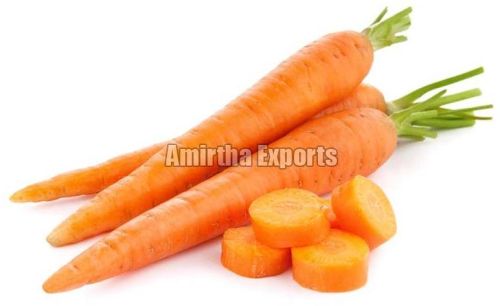 Organic Fresh Carrot, Style : Natural