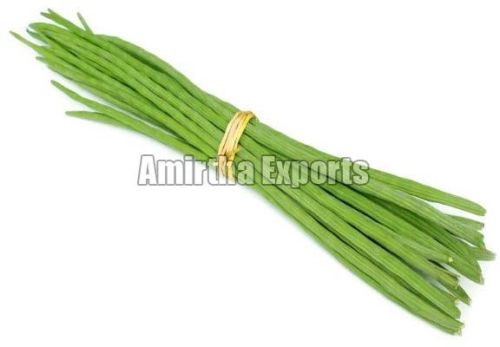 Organic Fresh Drumstick, For Cooking, Style : Natural
