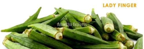 Organic Fresh Lady Finger, Color : Green