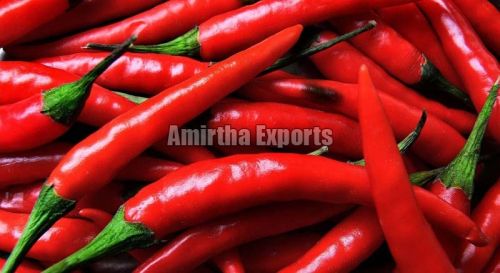 Fresh Red Chilli