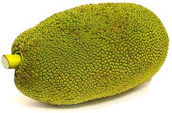 Fresh Jackfruit