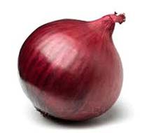 Fresh red onion For Food