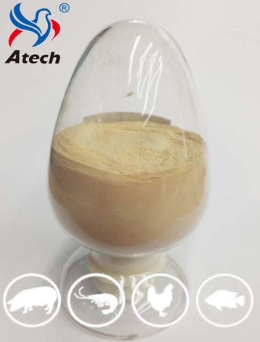 Yeast Extract, Brand Name : Atech, Packaging Type : 25kg/bag