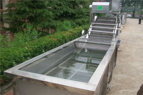 Fruit & Vegetable Cleaning Machine For Sale