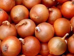 Organic onion, Brand Name : DOMES, Certification : ISO, SGS