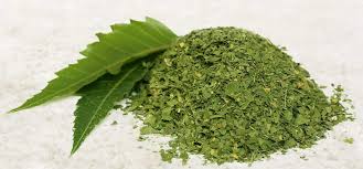 Neem powder, Packaging Size : 100g
