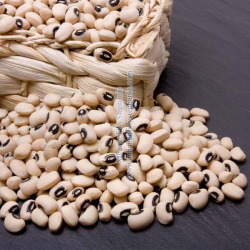 Black Eye Beans, Packaging Type : 50 kg pp bags