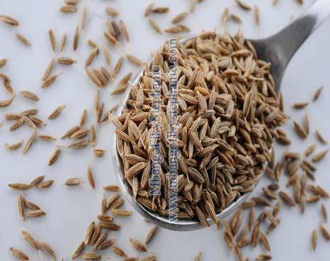 Cumin seeds, Packaging Type : 25 Kg PP Bag