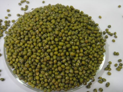 Whole Moong Dal, Packaging Type : 50Kgs PP Bag
