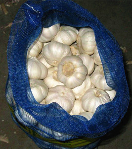 Fresh garlic, Feature : Moisture Proof, Gluten Free