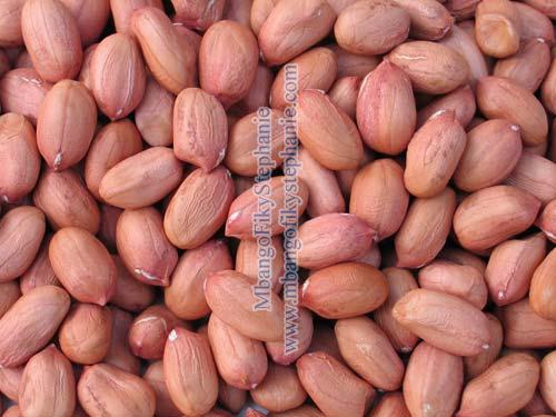 Peanut Kernels