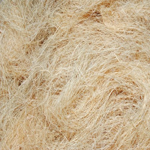 White Coir Fibre, Size : 100 - 125 Kg/Bale