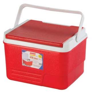 Plastic Ice Box, Size : Multisizes