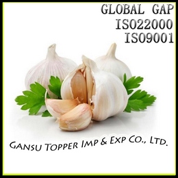 Fresh Normal White Garlic, Brand Name : Topper
