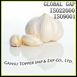 Fresh Pure White Garlic, Brand Name : Topper, Packaging Size : 10/20
