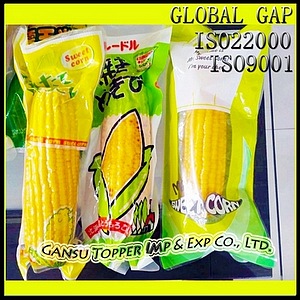 Fresh Sweet Corn, Brand Name : TOPPER, Packaging Type : VACUUMED BAG