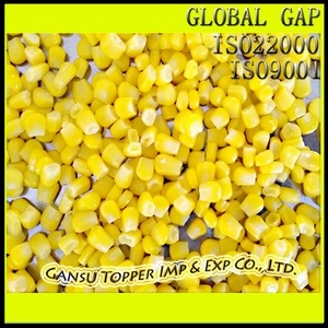 IQF Frozen Sweet Corn, Brand Name : TOPPER, Packaging Type : CARTON