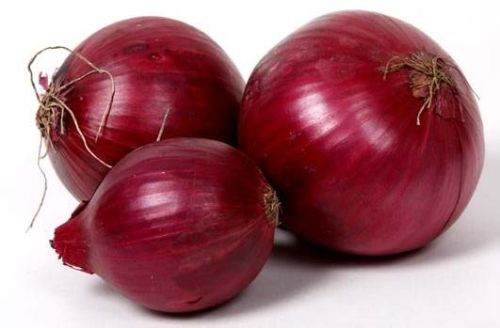 Fresh red onion For Cooking