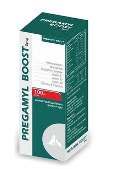 Pregamyl Boost Syrup