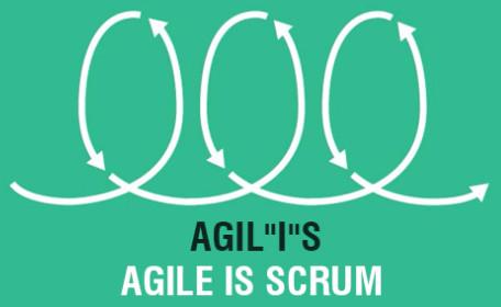 Distributed Agile Software Development Services
