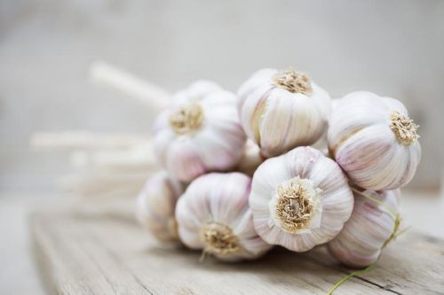 Panthi International Fresh Garlic