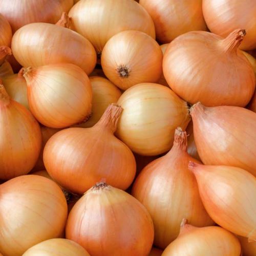 Fresh Brown Onion