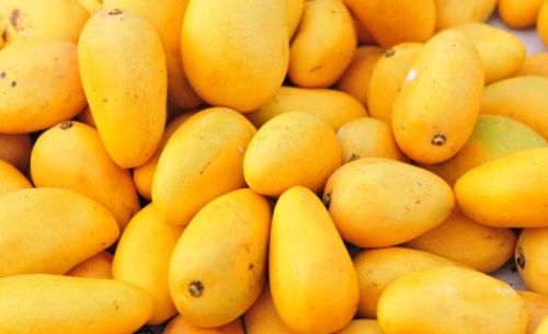 Fresh Mango,fresh Mango