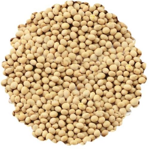 Soybean Seeds