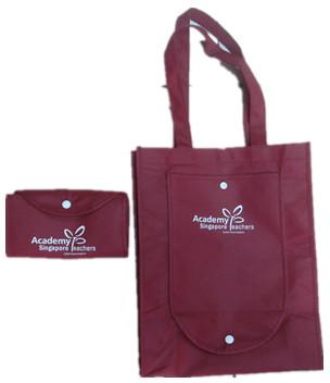Factory Sale Customize Printed Handle and Foldable Style Non Woven Bag