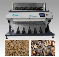 Coffee Bean Sorting Machine