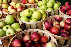 Fresh apple, Packaging Type : 20 Kg,Carton