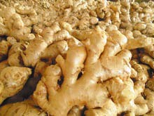 Fresh Big Ginger, Packaging Size : 0.2