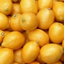LEMON FRESH GREEN LEMON GOOD QUALITY