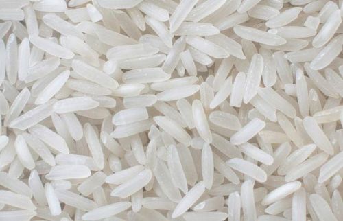 Basmati rice, Cultivation Type :Common
