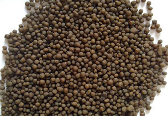 Diammonium Phosphate (DAP) Fertilizer