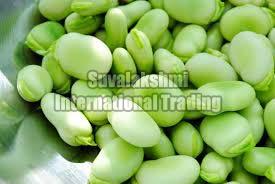 Broad Beans