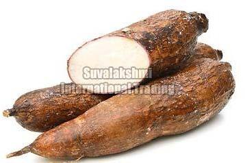 Fresh Cassava