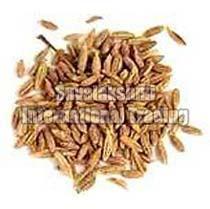 Cumin seeds, Purity :100%