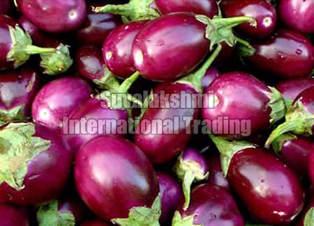 Fresh brinjal, Packaging Type : PP Bags