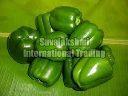 Fresh Green Capsicum
