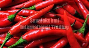 Fresh Red Chilli, Application : Natural Coloring, Gravies, Powders