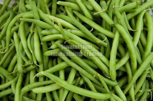 Fresh Green Beans