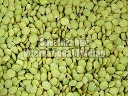 Green Lentils